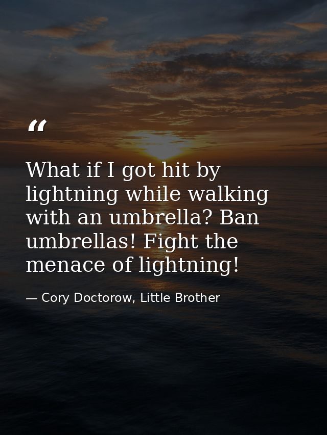 What if I got hit by lightning while walking with an umbrella? Ban umbrellas! Fight the menace of lightning! — Cory Doctorow, Little Brother