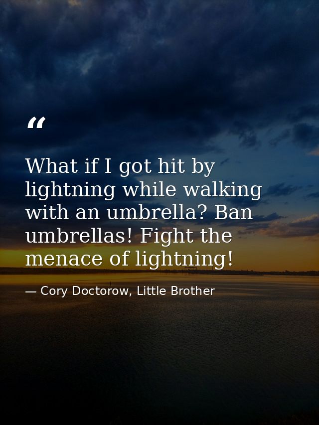 What if I got hit by lightning while walking with an umbrella? Ban umbrellas! Fight the menace of lightning! — Cory Doctorow, Little Brother