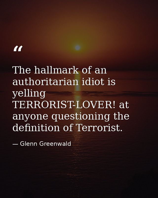 The hallmark of an authoritarian idiot is yelling TERRORIST-LOVER! at anyone questioning the definition of Terrorist. — Glenn Greenwald