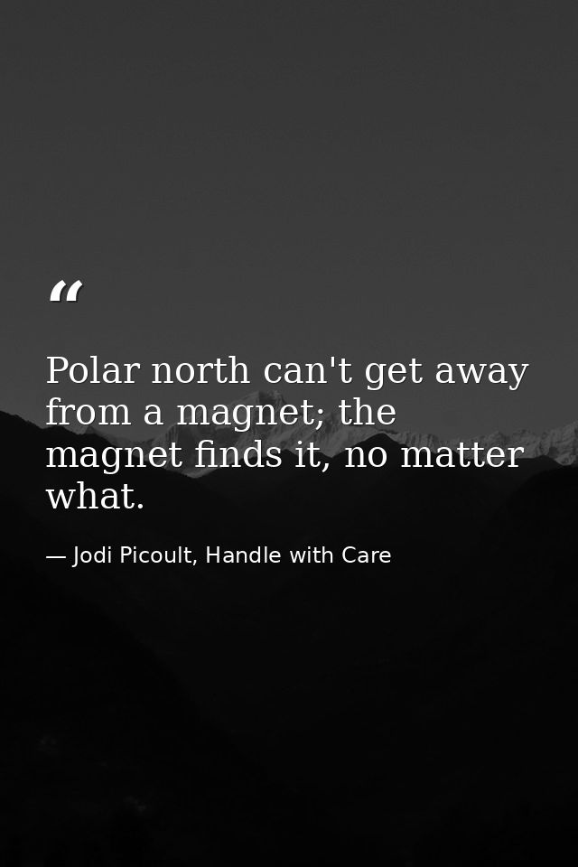 Polar north can't get away from a magnet; the magnet finds it, no matter what. — Jodi Picoult, Handle with Care