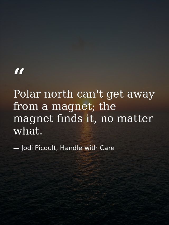 Polar north can't get away from a magnet; the magnet finds it, no matter what. — Jodi Picoult, Handle with Care