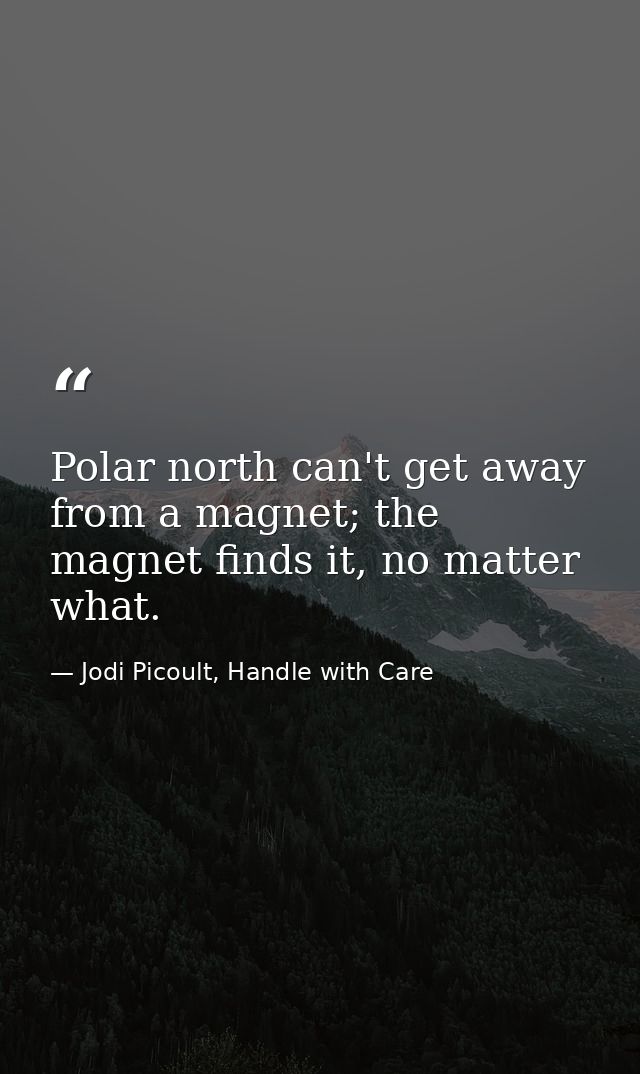 Polar north can't get away from a magnet; the magnet finds it, no matter what. — Jodi Picoult, Handle with Care