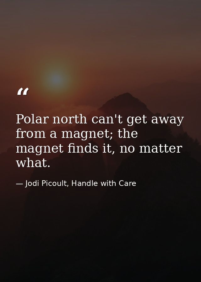 Polar north can't get away from a magnet; the magnet finds it, no matter what. — Jodi Picoult, Handle with Care