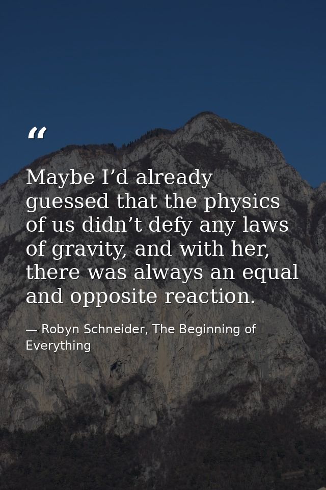 Maybe I’d already guessed that the physics of us didn’t defy any laws of gravity, and with her, there was always an equa — Robyn Schneider, The Beginning of Everything