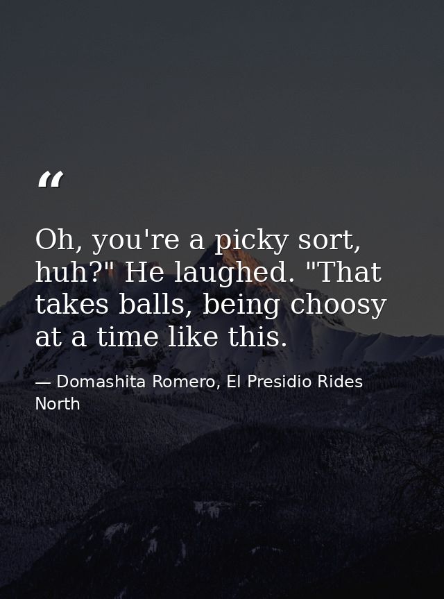 Oh, you're a picky sort, huh?" He laughed. "That takes balls, being choosy at a time like this. — Domashita Romero, El Presidio Rides North