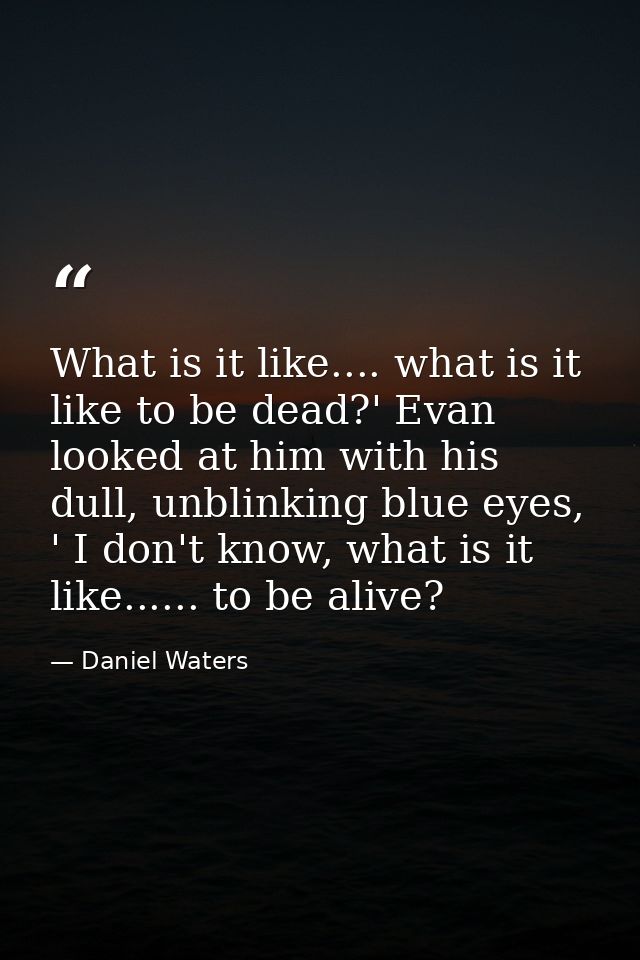 What is it like.... what is it like to be dead?' Evan looked at him with his dull, unblinking blue eyes, ' I don't know, — Daniel Waters