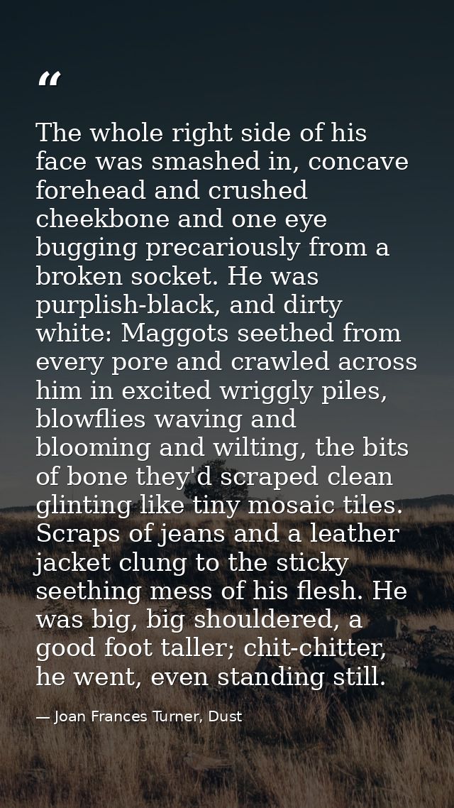 The whole right side of his face was smashed in, concave forehead and crushed cheekbone and one eye bugging precariously — Joan Frances Turner, Dust