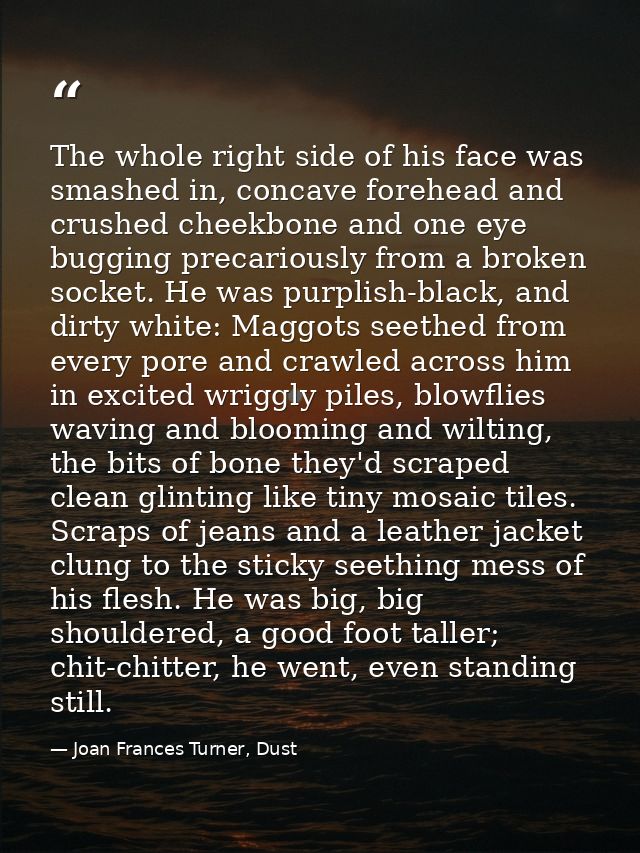 The whole right side of his face was smashed in, concave forehead and crushed cheekbone and one eye bugging precariously — Joan Frances Turner, Dust
