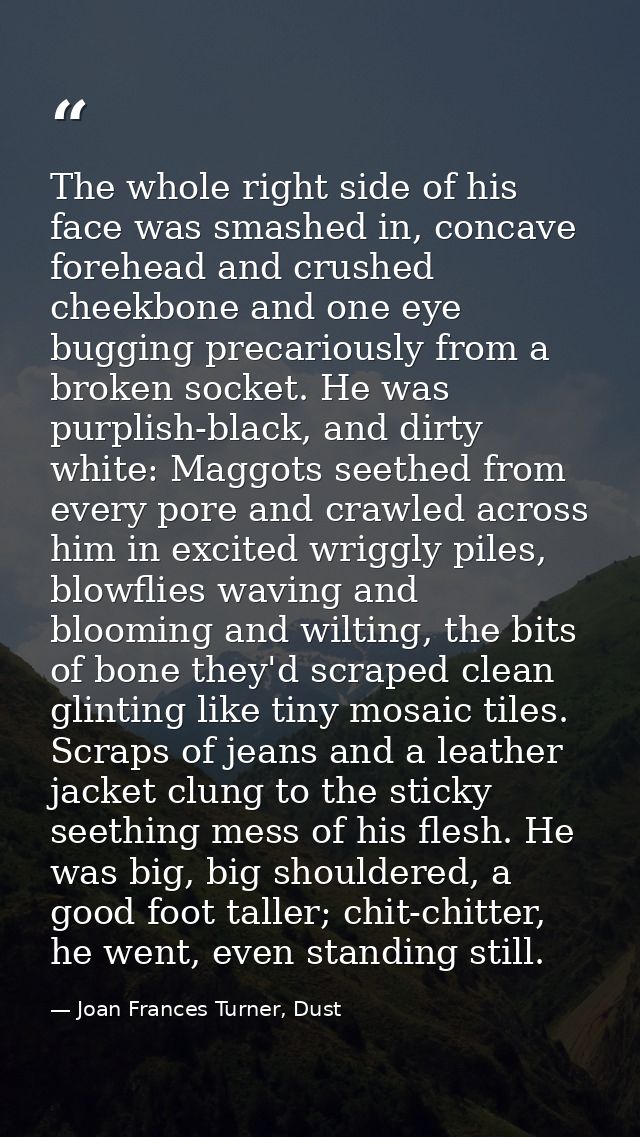 The whole right side of his face was smashed in, concave forehead and crushed cheekbone and one eye bugging precariously — Joan Frances Turner, Dust