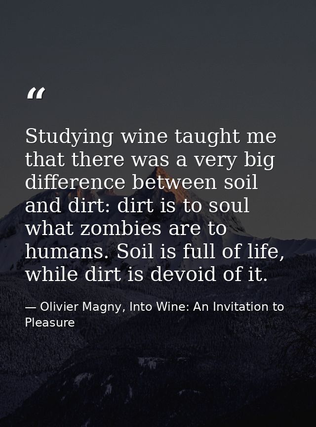 Studying wine taught me that there was a very big difference between soil and dirt: dirt is to soul what zombies are to  — Olivier Magny, Into Wine: An Invitation to Pleasure