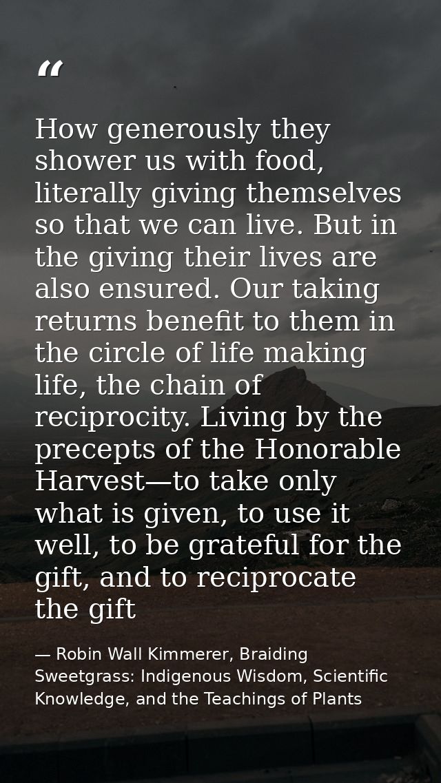 How generously they shower us with food, literally giving themselves so that we can live. But in the giving their lives  — Robin Wall Kimmerer, Braiding Sweetgrass: Indigenous Wisdom, Scientific Knowledge, and the Teachings of Plants