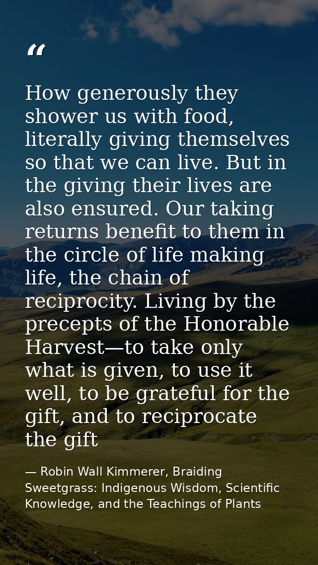 How generously they shower us with food, literally giving themselves so that we can live. But in the giving their lives  — Robin Wall Kimmerer, Braiding Sweetgrass: Indigenous Wisdom, Scientific Knowledge, and the Teachings of Plants