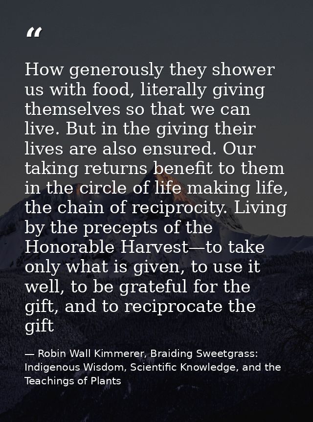 How generously they shower us with food, literally giving themselves so that we can live. But in the giving their lives  — Robin Wall Kimmerer, Braiding Sweetgrass: Indigenous Wisdom, Scientific Knowledge, and the Teachings of Plants