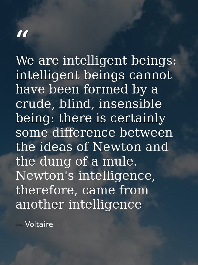 We are intelligent beings: intelligent beings cannot have been formed by a crude, blind, insensible being: there is cert — Voltaire