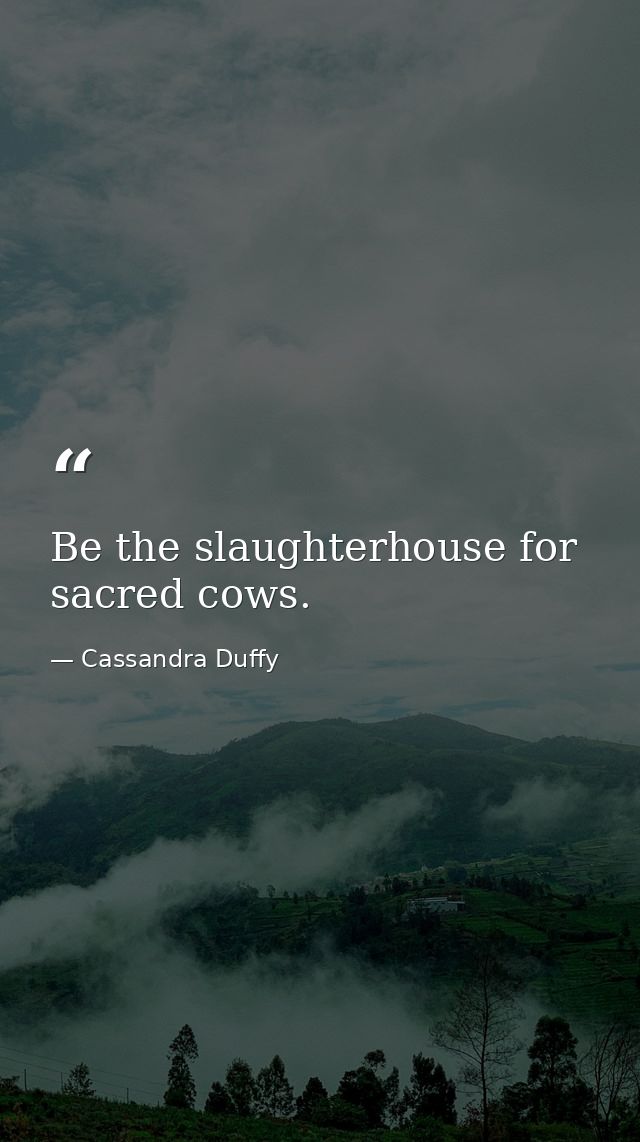 Be the slaughterhouse for sacred cows. — Cassandra Duffy