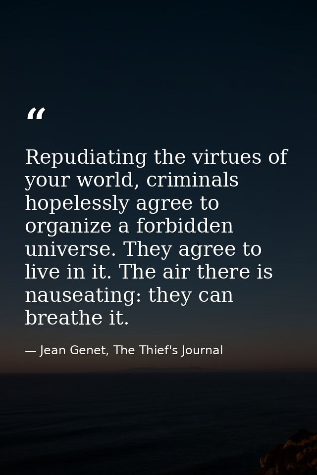 Repudiating the virtues of your world, criminals hopelessly agree to organize a forbidden universe. They agree to live i — Jean Genet, The Thief's Journal