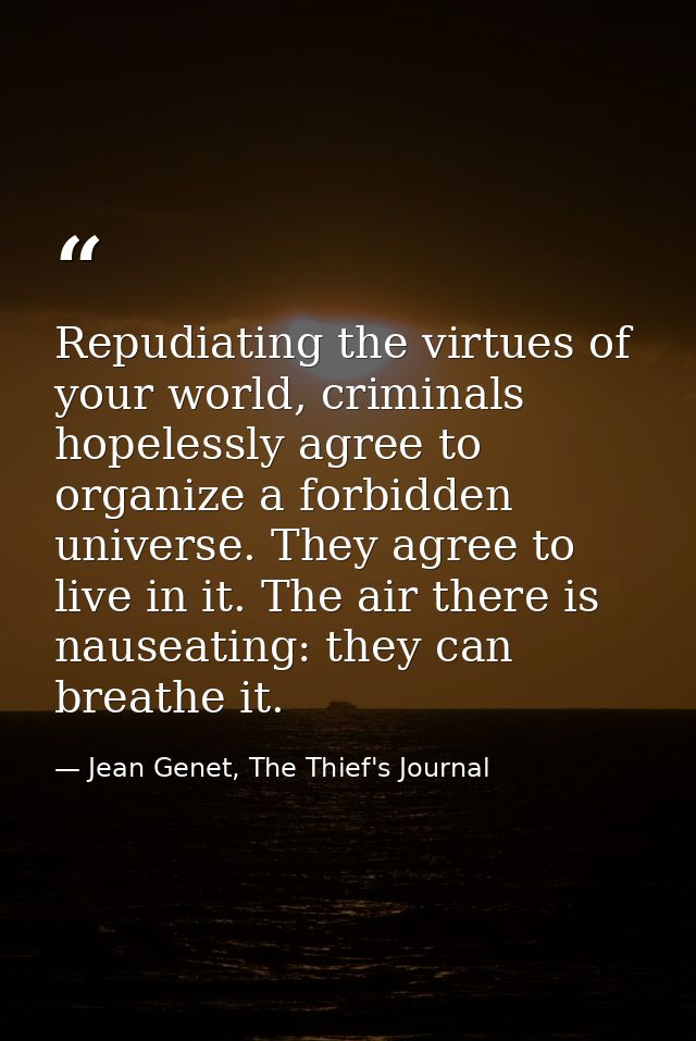 Repudiating the virtues of your world, criminals hopelessly agree to organize a forbidden universe. They agree to live i — Jean Genet, The Thief's Journal