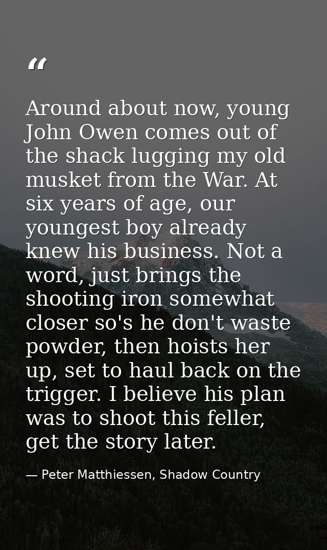 Around about now, young John Owen comes out of the shack lugging my old musket from the War. At six years of age, our yo — Peter Matthiessen, Shadow Country