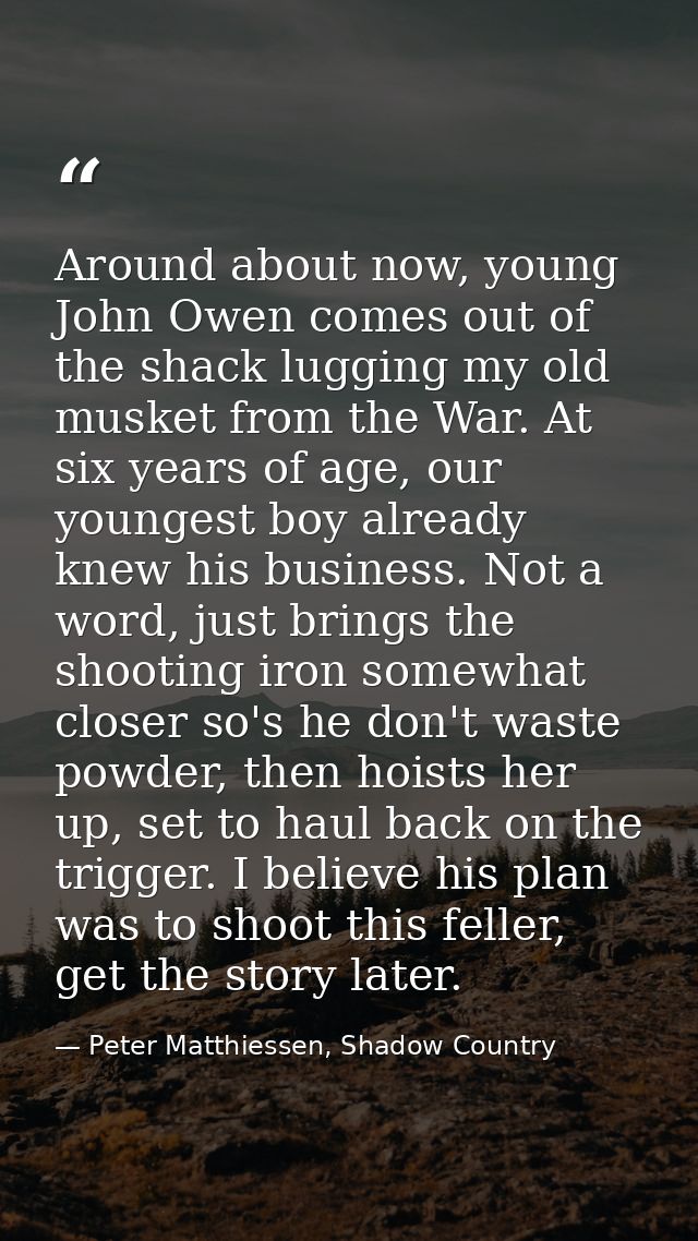Around about now, young John Owen comes out of the shack lugging my old musket from the War. At six years of age, our yo — Peter Matthiessen, Shadow Country