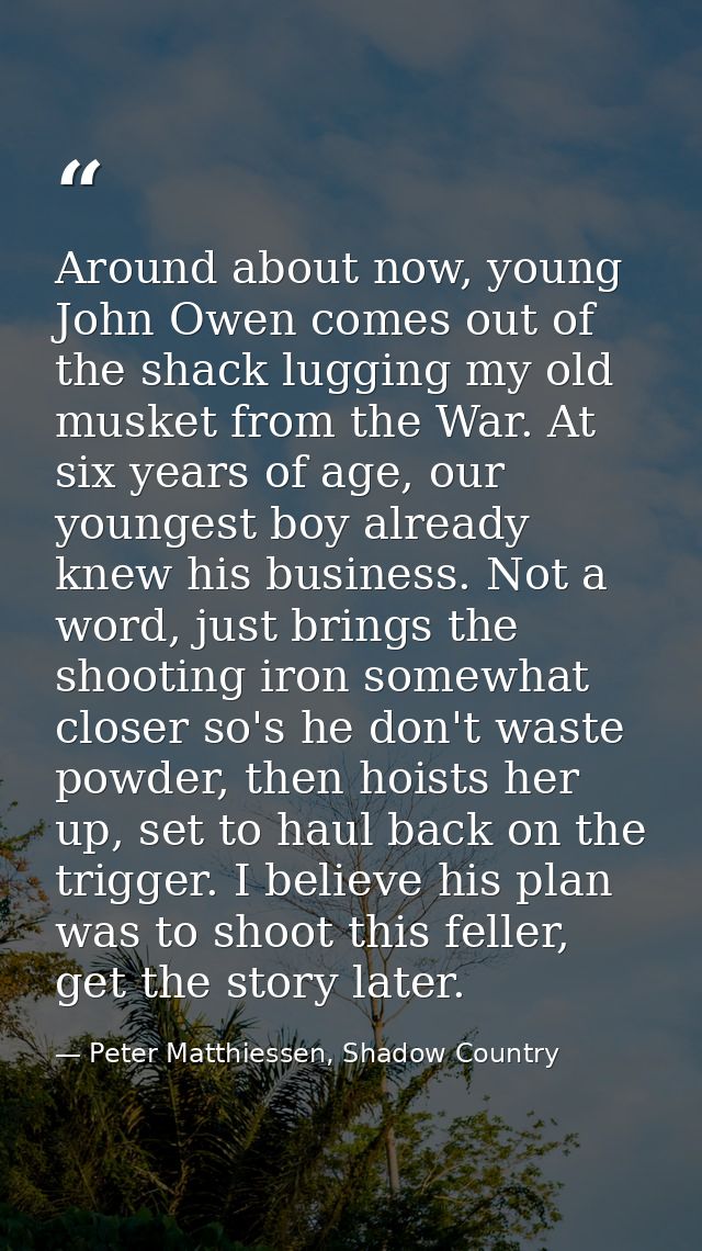 Around about now, young John Owen comes out of the shack lugging my old musket from the War. At six years of age, our yo — Peter Matthiessen, Shadow Country