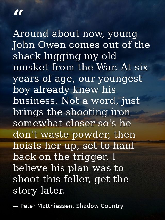 Around about now, young John Owen comes out of the shack lugging my old musket from the War. At six years of age, our yo — Peter Matthiessen, Shadow Country