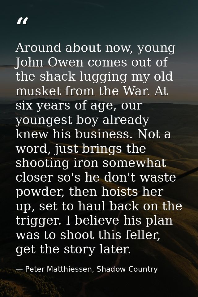 Around about now, young John Owen comes out of the shack lugging my old musket from the War. At six years of age, our yo — Peter Matthiessen, Shadow Country