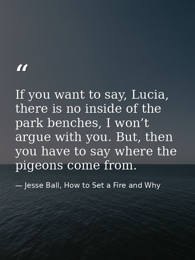 If you want to say, Lucia, there is no inside of the park benches, I won’t argue with you. But, then you have to say whe — Jesse Ball, How to Set a Fire and Why