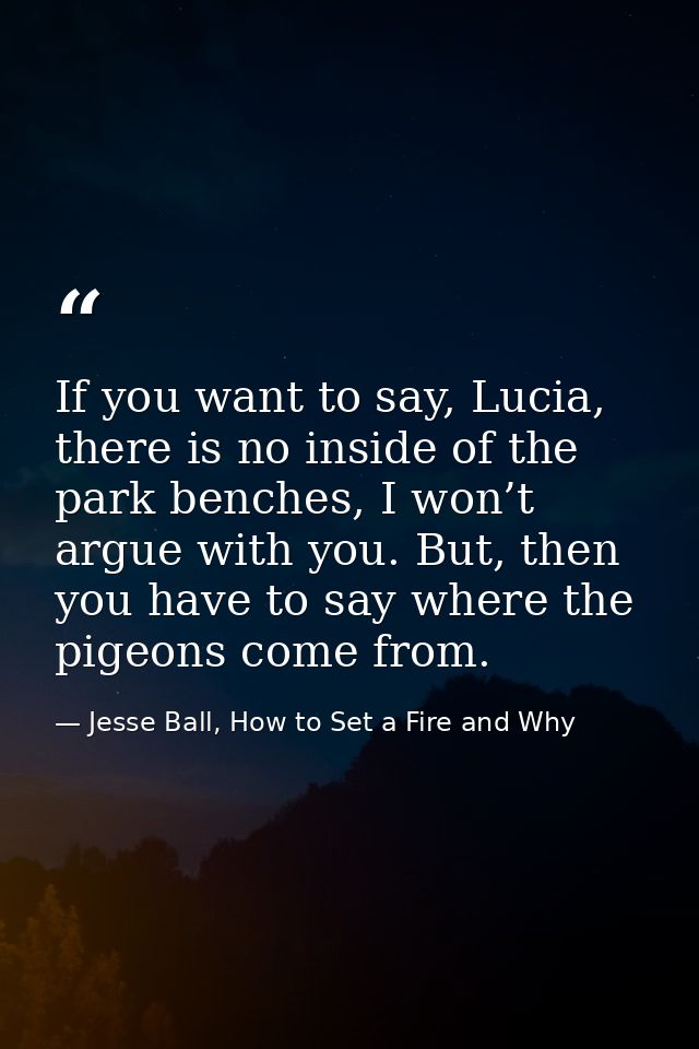 If you want to say, Lucia, there is no inside of the park benches, I won’t argue with you. But, then you have to say whe — Jesse Ball, How to Set a Fire and Why
