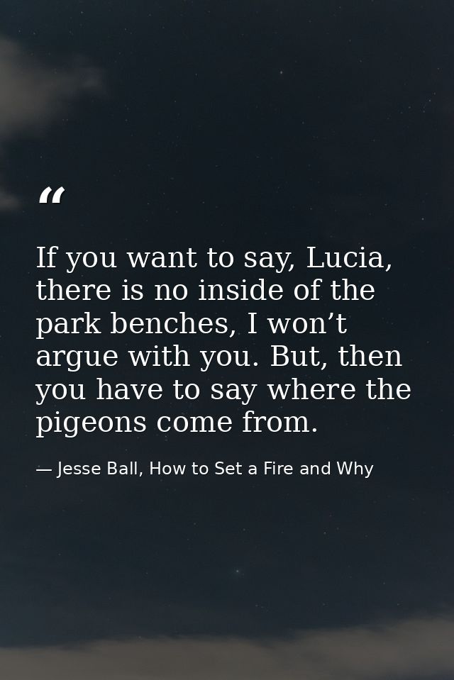 If you want to say, Lucia, there is no inside of the park benches, I won’t argue with you. But, then you have to say whe — Jesse Ball, How to Set a Fire and Why