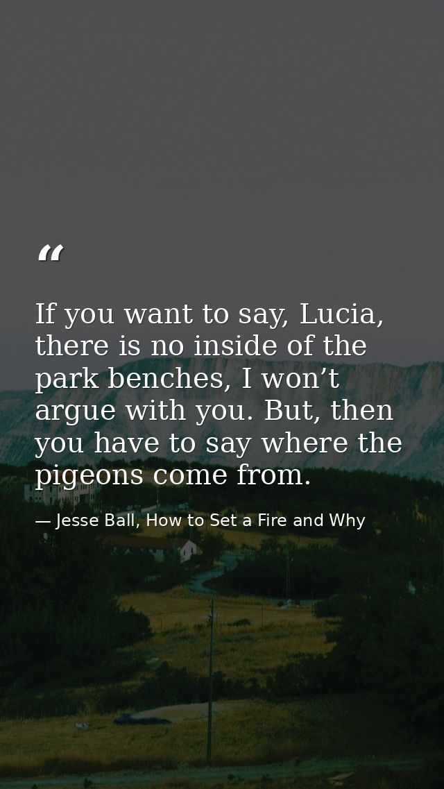 If you want to say, Lucia, there is no inside of the park benches, I won’t argue with you. But, then you have to say whe — Jesse Ball, How to Set a Fire and Why