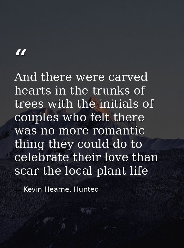 And there were carved hearts in the trunks of trees with the initials of couples who felt there was no more romantic thi — Kevin Hearne, Hunted