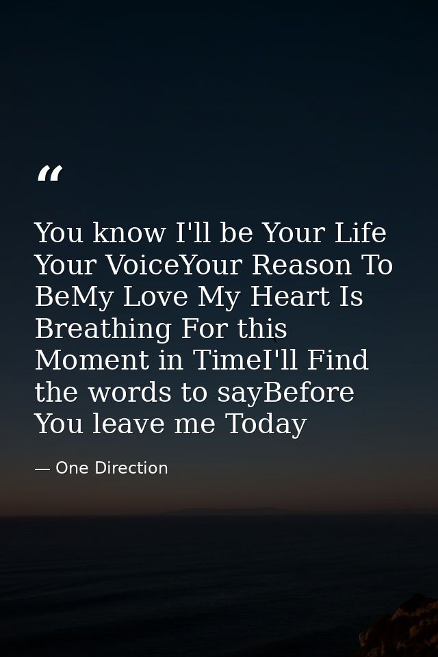 You know I'll be Your Life Your VoiceYour Reason To BeMy Love My Heart Is Breathing For this Moment in TimeI'll Find the — One Direction