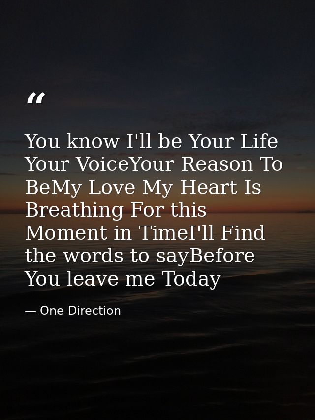 You know I'll be Your Life Your VoiceYour Reason To BeMy Love My Heart Is Breathing For this Moment in TimeI'll Find the — One Direction
