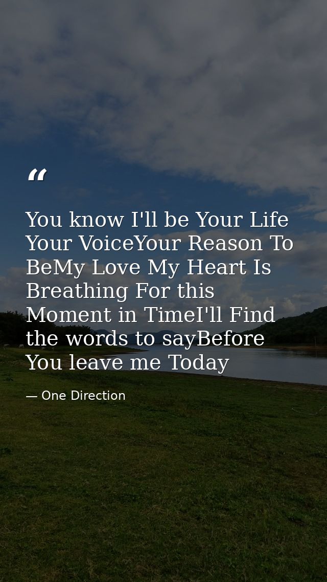 You know I'll be Your Life Your VoiceYour Reason To BeMy Love My Heart Is Breathing For this Moment in TimeI'll Find the — One Direction
