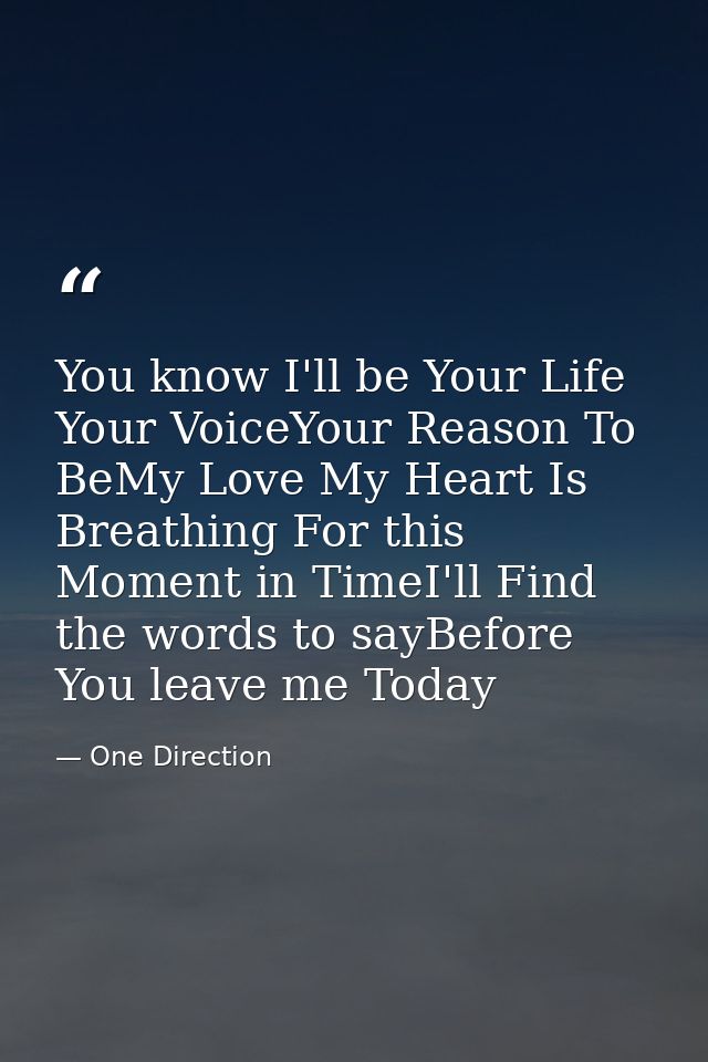 You know I'll be Your Life Your VoiceYour Reason To BeMy Love My Heart Is Breathing For this Moment in TimeI'll Find the — One Direction