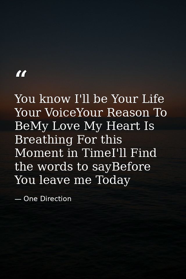 You know I'll be Your Life Your VoiceYour Reason To BeMy Love My Heart Is Breathing For this Moment in TimeI'll Find the — One Direction