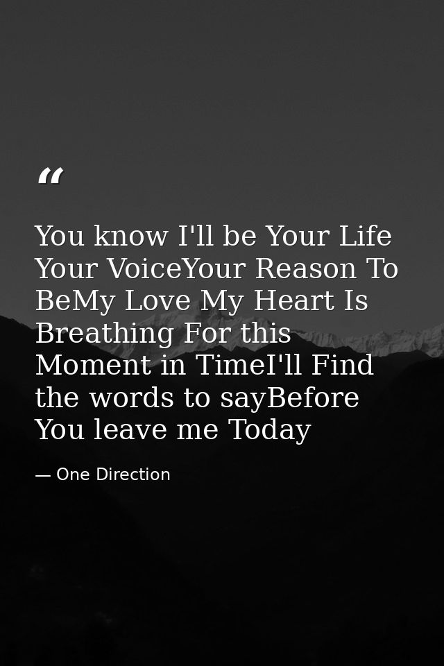 You know I'll be Your Life Your VoiceYour Reason To BeMy Love My Heart Is Breathing For this Moment in TimeI'll Find the — One Direction