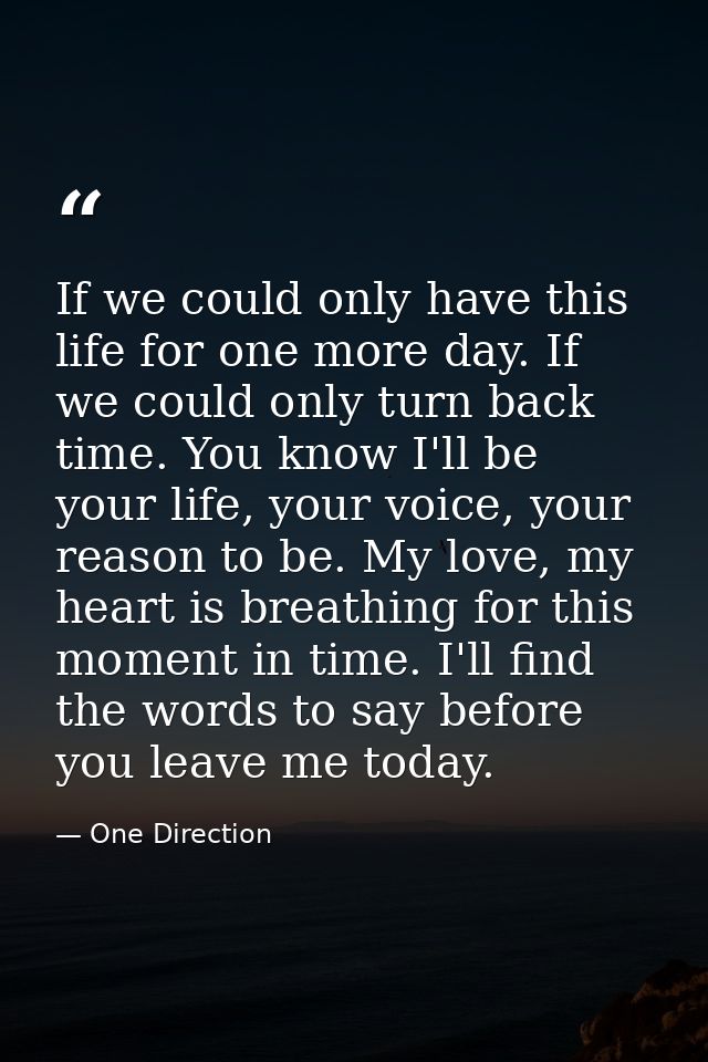 If we could only have this life for one more day. If we could only turn back time. You know I'll be your life, your voic — One Direction