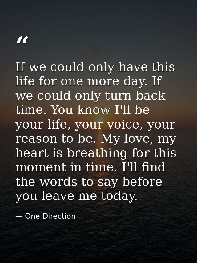 If we could only have this life for one more day. If we could only turn back time. You know I'll be your life, your voic — One Direction