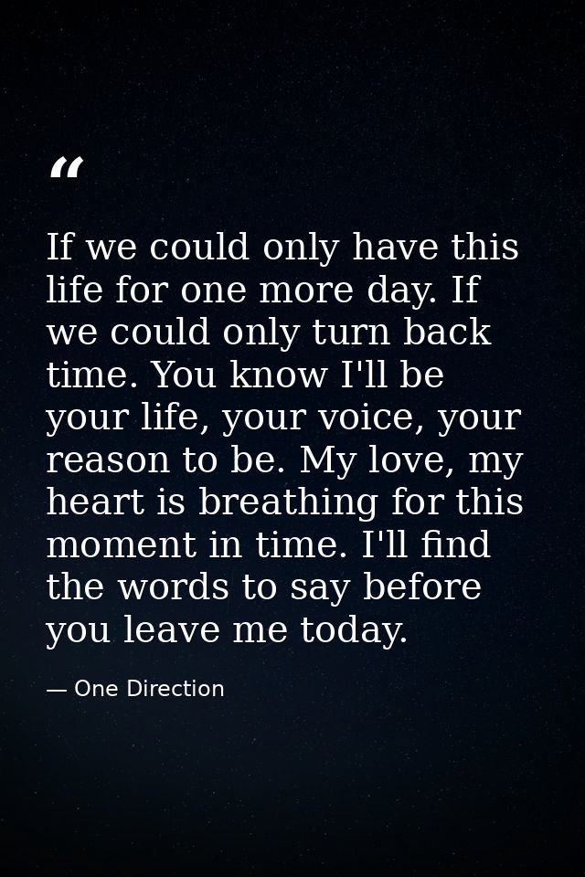 If we could only have this life for one more day. If we could only turn back time. You know I'll be your life, your voic — One Direction