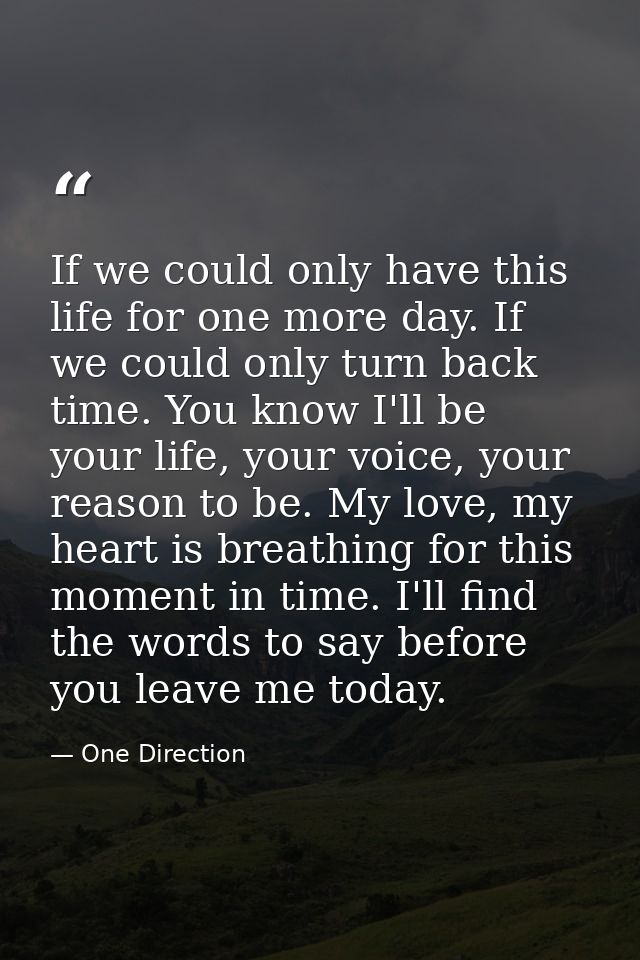 If we could only have this life for one more day. If we could only turn back time. You know I'll be your life, your voic — One Direction
