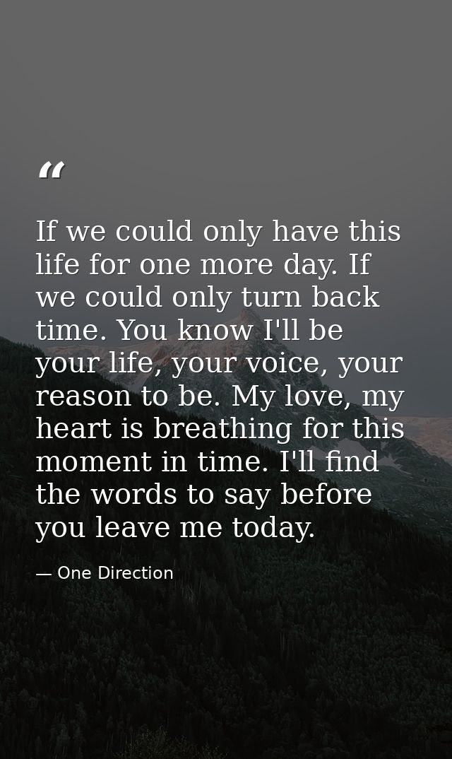 If we could only have this life for one more day. If we could only turn back time. You know I'll be your life, your voic — One Direction