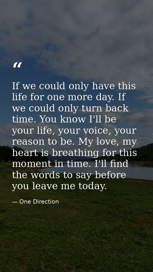 If we could only have this life for one more day. If we could only turn back time. You know I'll be your life, your voic — One Direction