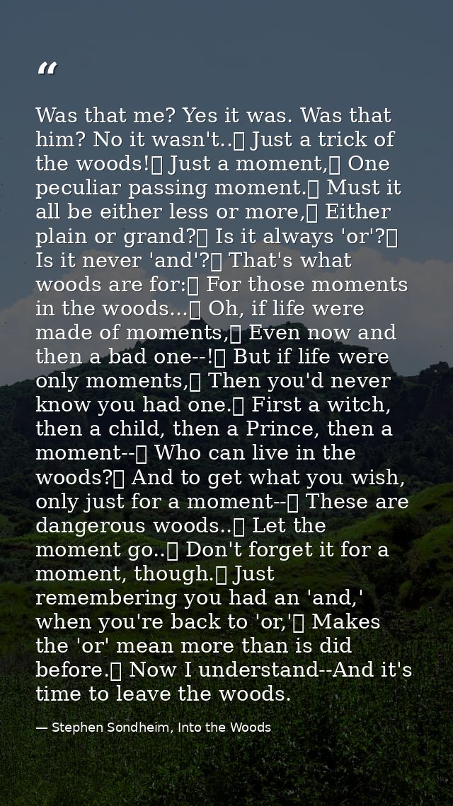 Was that me? Yes it was. Was that him? No it wasn't..	 Just a trick of the woods!	 Just a moment,	 One peculiar passing  — Stephen Sondheim, Into the Woods