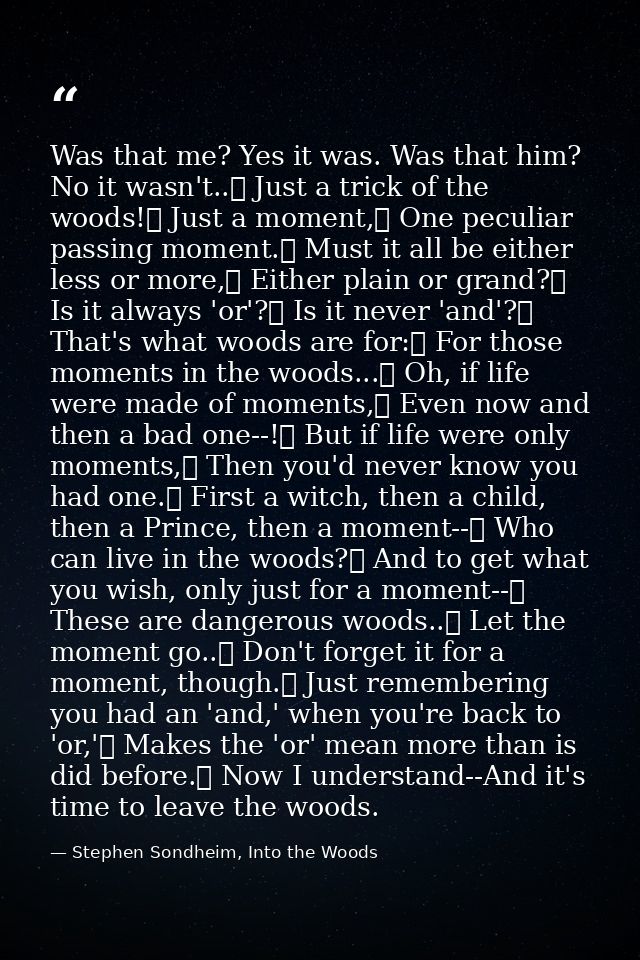 Was that me? Yes it was. Was that him? No it wasn't..	 Just a trick of the woods!	 Just a moment,	 One peculiar passing  — Stephen Sondheim, Into the Woods