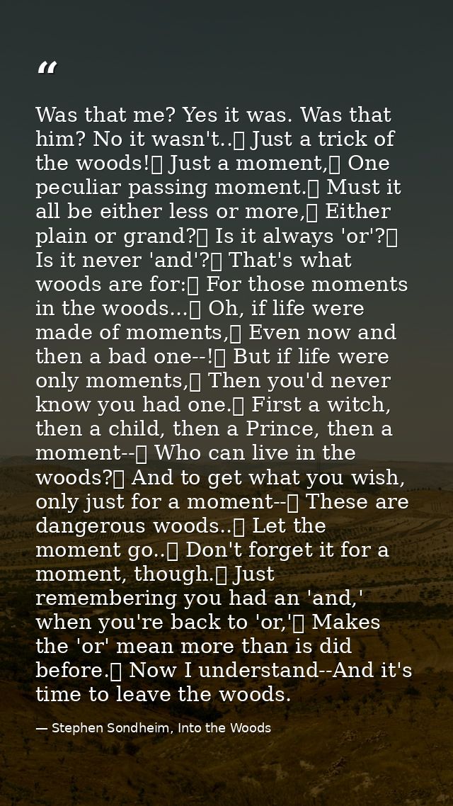Was that me? Yes it was. Was that him? No it wasn't..	 Just a trick of the woods!	 Just a moment,	 One peculiar passing  — Stephen Sondheim, Into the Woods