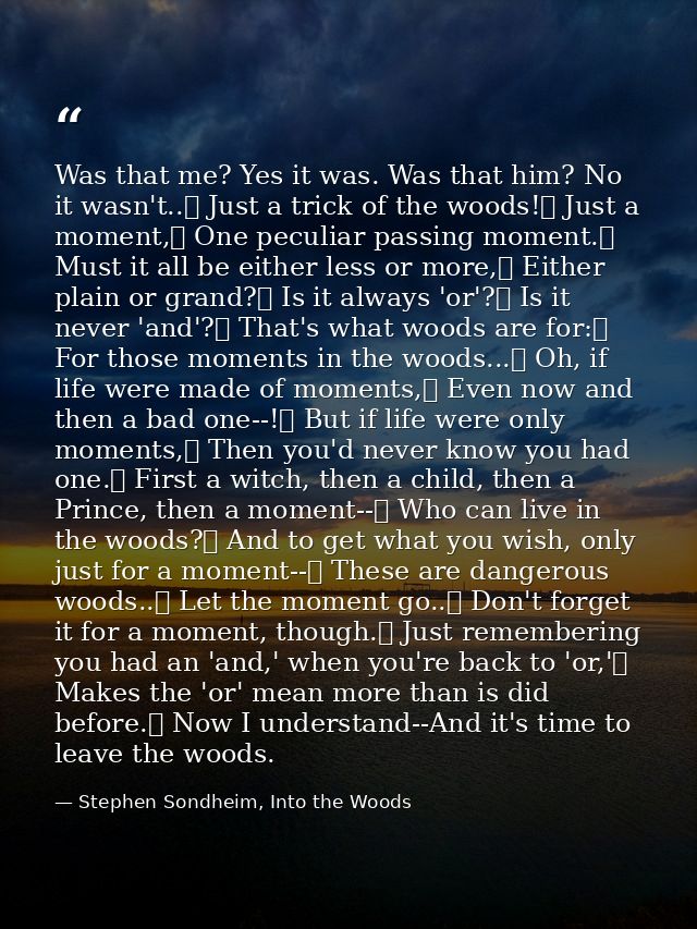 Was that me? Yes it was. Was that him? No it wasn't..	 Just a trick of the woods!	 Just a moment,	 One peculiar passing  — Stephen Sondheim, Into the Woods