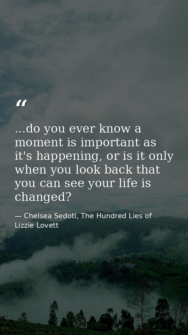 ...do you ever know a moment is important as it's happening, or is it only when you look back that you can see your life — Chelsea Sedoti, The Hundred Lies of Lizzie Lovett