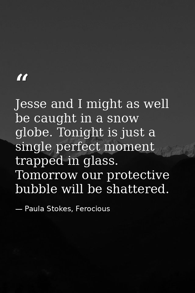 Jesse and I might as well be caught in a snow globe. Tonight is just a single perfect moment trapped in glass. Tomorrow  — Paula Stokes, Ferocious