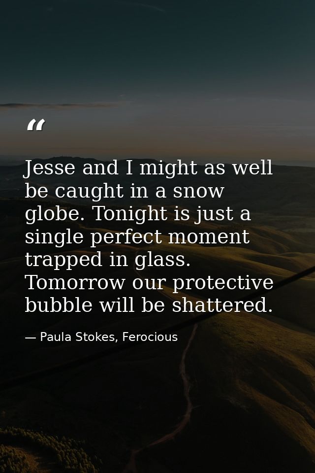 Jesse and I might as well be caught in a snow globe. Tonight is just a single perfect moment trapped in glass. Tomorrow  — Paula Stokes, Ferocious